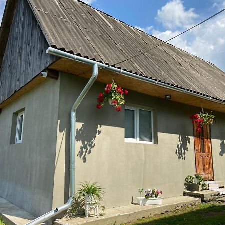 Біля Саду Volovec Exteriér fotografie