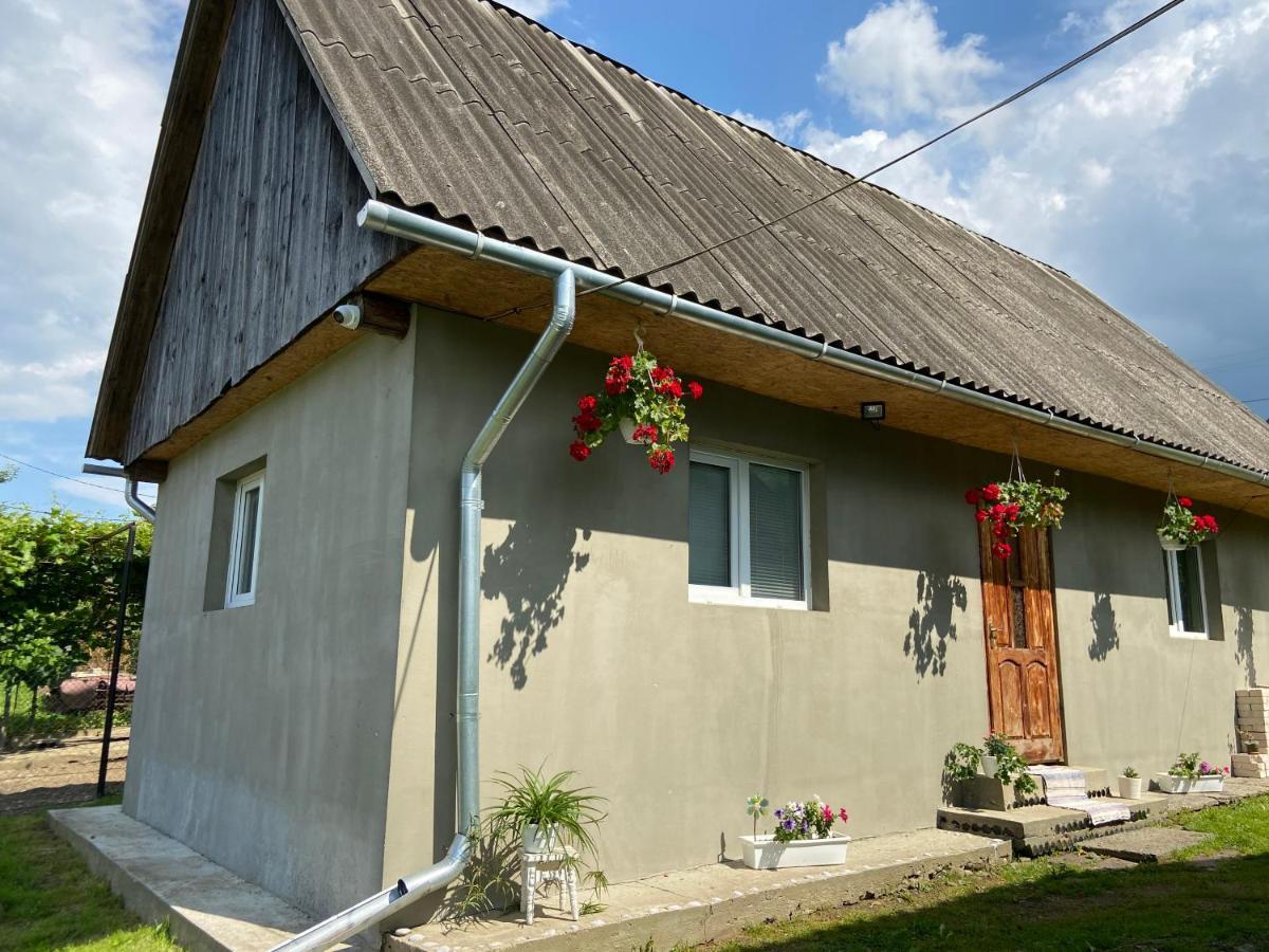 Біля Саду Volovec Exteriér fotografie