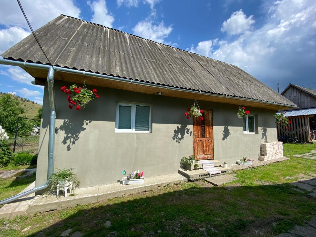 Біля Саду Volovec Exteriér fotografie
